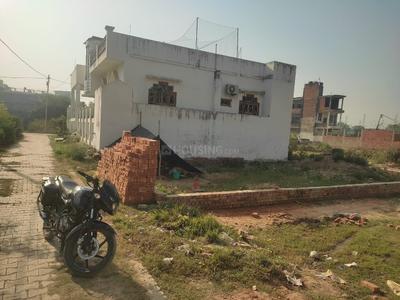 Tarna More Images 3