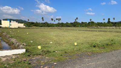 Residential Plot