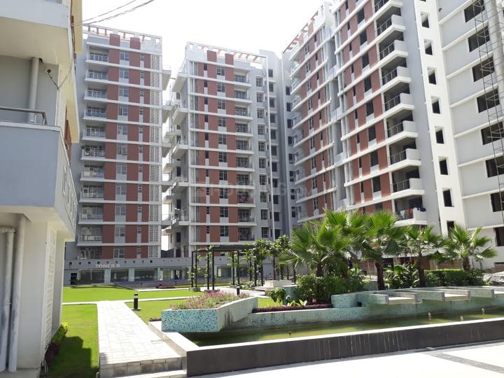 R G Euphoria Main Image 1