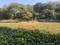 Yakubpur Plot View 2