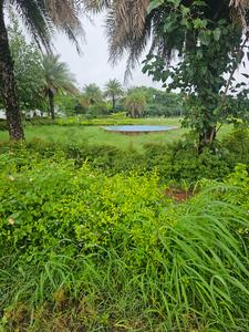 Image of 1264 Sq.ft Residential Plot / Land for sale in DLF Gardencity, Manglia, Indore for Rs. 5680000