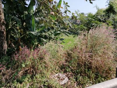 Image of 2500 Sq.ft Residential Plot / Land for sale in Brajalalchak, Haldia for Rs. 31000000