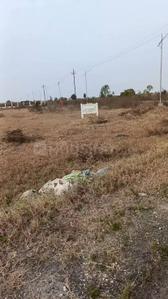 Image of 2400 Sq.ft Residential Plot / Land for sale in Kainsir, Sambalpur for Rs. 3575000