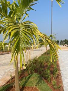 Image of 800 Sq.ft Residential Plot / Land for sale in Yelahanka Satellite Town, Bengaluru for Rs. 1439200