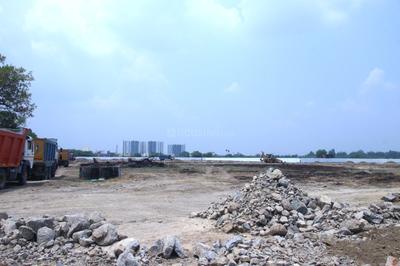 Plot View