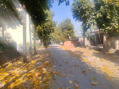 1 BHK Independent House