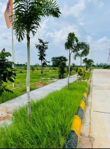 Image of 4800 Sq.ft Residential Plot / Land for sale in Shadnagar, Ranga Reddy for Rs. 6007500