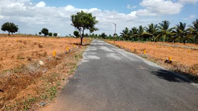 Image of 800 Sq.ft Residential Plot / Land for sale in Annur, Coimbatore for Rs. 325000
