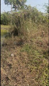 Image of 2086 Sq.ft Residential Plot / Land for sale in Chengalpattu, Chennai for Rs. 1500000