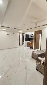 Hall Image of 1400 Sq.ft 3 BHK Apartment / Flat for rent in Mohanpura Jaipur for Rs. 30000