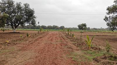 Image of 1197 Sq.ft Residential Plot / Land for sale in Mylavaram, Vijayawada for Rs. 700000
