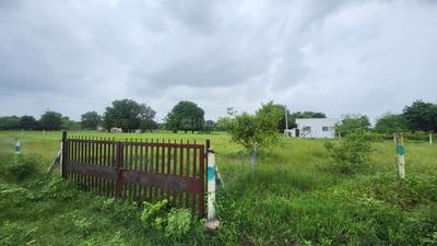 Madhav farm house Plot View 3