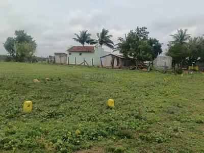 Image of 1500 Sq.ft Residential Plot / Land for sale in Othakalmandapam, Coimbatore for Rs. 1500000