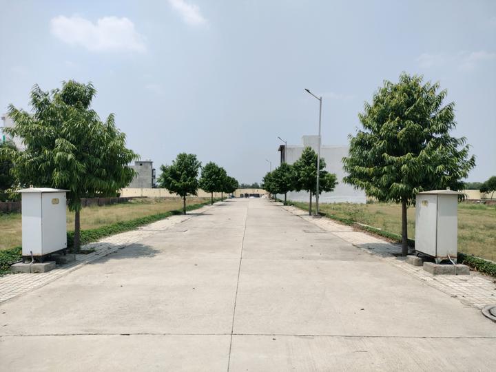 Soha Neal City Main Image 1