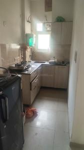 Kitchen Image of 495 Sq.ft 1 BHK Apartment / Flat for rent in Ajnara Elements, Sector 137 Noida for Rs. 25000