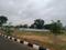 SGD Elite Plot View 2