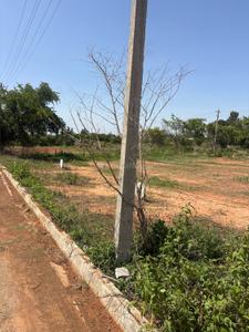 Adaar Paradise Plot View 2