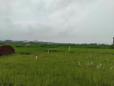 Image of 1000 Sq.ft Residential Plot / Land for sale in Arsande, Ranchi for Rs. 1500000