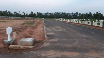 Thagarapuvalasa Plot View 2