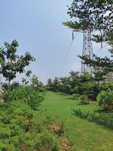 Image of 1200 Sq.ft Residential Plot / Land for sale in Kaggalipura, Bengaluru for Rs. 7200000