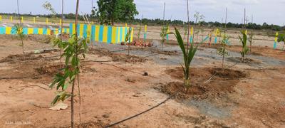 Image of 10410 Sq.ft Residential Plot / Land for sale in Chengalpattu, Chennai for Rs. 3747600