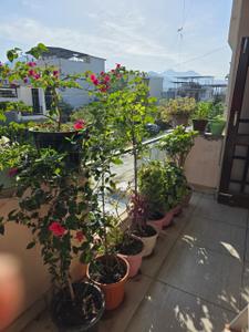 Balcony Image of 1150 Sq.ft 2 BHK Apartment / Flat for rent in Ametek Doon Square, Sahastradhara Road Dehradun for Rs. 30000