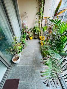 Balcony Image of 1918 Sq.ft 3 BHK Apartment / Flat for sale in Olive Greens, Gota Ahmedabad for Rs. 17500000