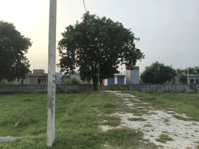 Residential Plot