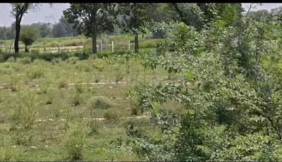 Image of 149737 Sq.ft Residential Plot / Land for sale in Sadar Bazar, Mathura for Rs. 40000000