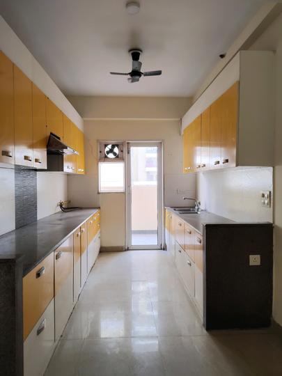 Exotica Fresco Main Image 1