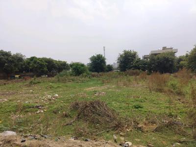 Sector 17A Plot View 2