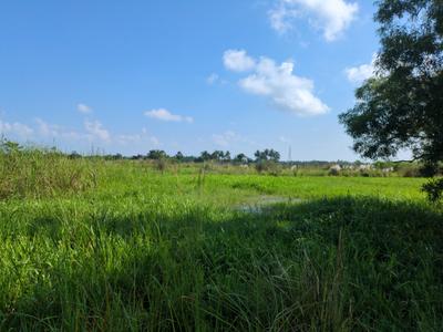 Image of 720 Sq.ft Residential Plot / Land for sale in Wander Valley, Joka, Kolkata for Rs. 280008