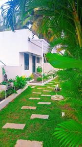 Image of 750 Sq.ft 2 BHK Independent House for rent in Panangad, Kochi for Rs. 25000