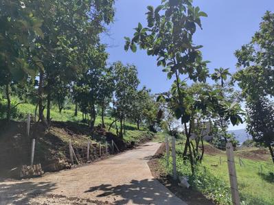 Image of 22000 Sq.ft Residential Plot / Land for sale in Varasgaon, Pune for Rs. 7000000