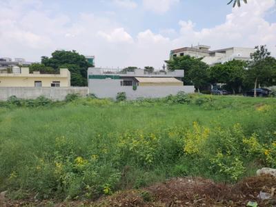 Image of 538 Sq.ft Residential Plot / Land for sale in DLF Alameda, Sector 73, Gurgaon for Rs. 177600000