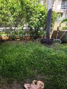 Balcony Image of 2350 Sq.ft 3 BHK Villa for sale in Kolte Patil Life Republic Sector R2 2nd Avenue, Marunji Pune for Rs. 22500000