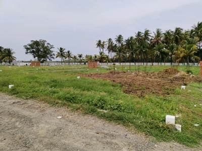 Angadu Plot View 2