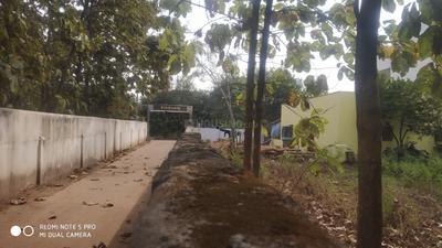 Image of 480 Sq.ft Residential Plot / Land for sale in Naspur, Mancherial for Rs. 5500000