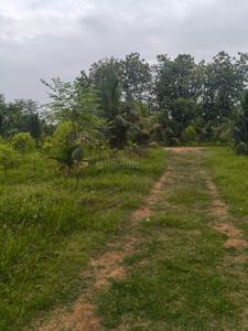 Sri Bangaramma garden farm land Plot View 3