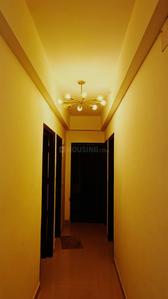 Hall Image of 1090 Sq.ft 2 BHK Apartment / Flat for rent in Royal Nest, Noida Extension Greater Noida for Rs. 17222