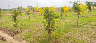 Image of 9600 Sq.ft Residential Plot / Land for sale in Landscape Avenue, Walajabad, Chennai for Rs. 2400000