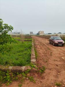 Residential Plot