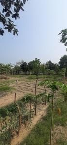 Image of 36000 Sq.ft Residential Plot / Land for sale in Falta, Kolkata for Rs. 17000000