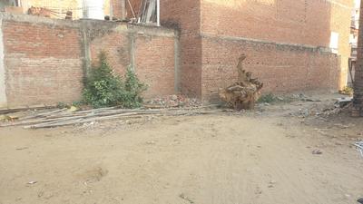 Jhusi Plot View 1