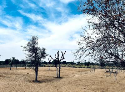 Image of 53000 Sq.ft Residential Plot / Land for sale in Nandra-Khurd, Jodhpur for Rs. 15000000