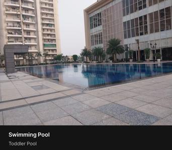 Image of 1624 Sq.ft 3 BHK Apartment / Flat for rent in BPTP Discovery Park, Sector 80, Faridabad for Rs. 40000