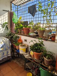 Balcony Image of 1030 Sq.ft 2 BHK Apartment / Flat for sale in Prashant Regency, Akshayanagar Bengaluru for Rs. 6900000