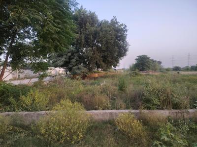 Image of 125 Sq.ft Residential Plot / Land for sale in Noida Extension, Greater Noida for Rs. 4378400