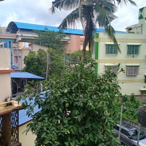 Image of 1280 Sq.ft 3 BHK Apartment / Flat for sale in Kalikapur, EM Bypass, Kolkata for Rs. 9000000