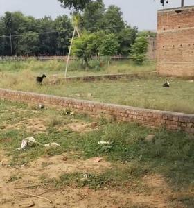 Image of 1360 Sq.ft Residential Plot / Land for sale in Bodh Gaya, Gaya for Rs. 1350000